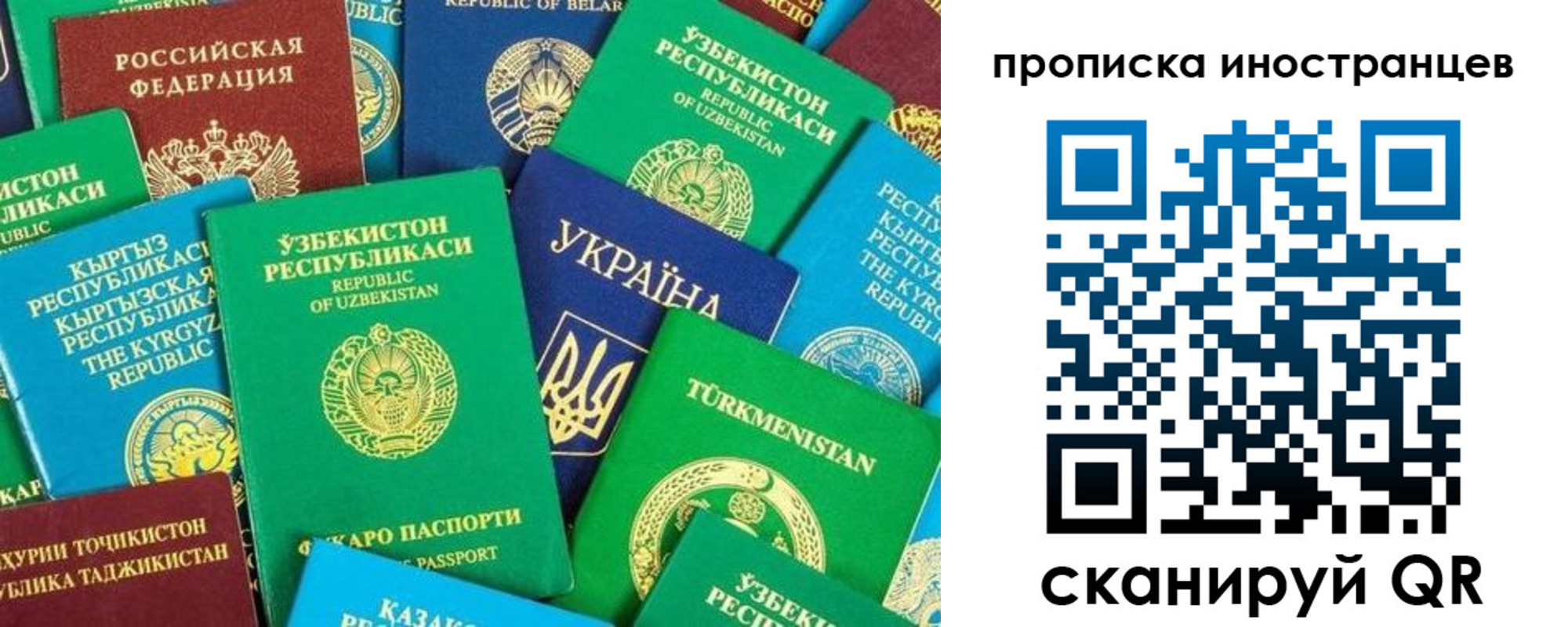 прописка гарантия в Коряжме